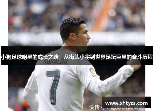 小狗足球明星的成长之路：从街头小将到世界足坛巨星的奋斗历程