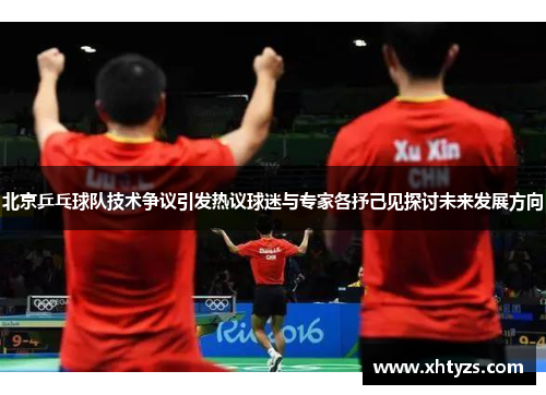 北京乒乓球队技术争议引发热议球迷与专家各抒己见探讨未来发展方向