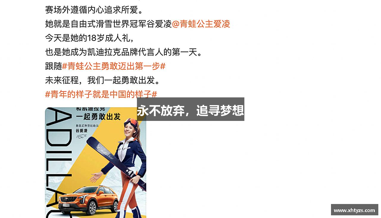 永不放弃，追寻梦想